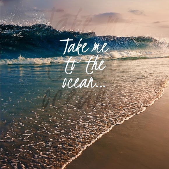 Meet your Posher, Deborah - Picture 4 of 5